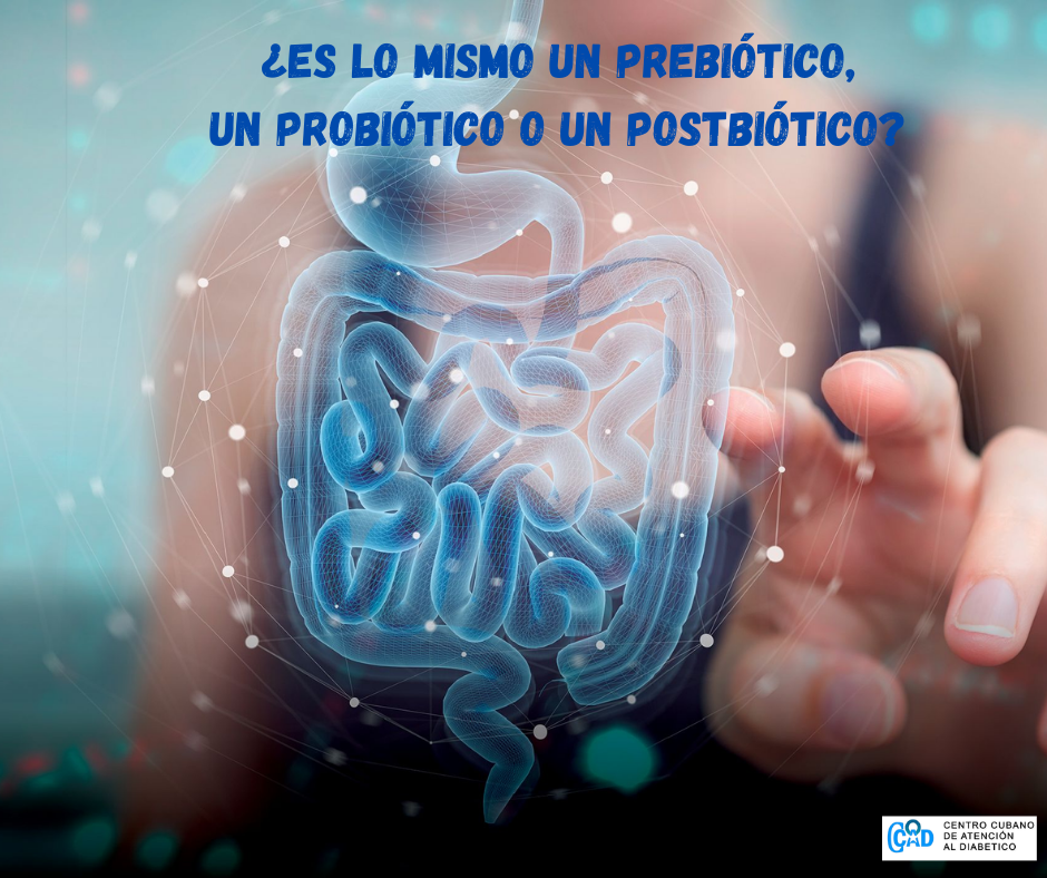 Prebiótico, probiótico o postbiótico. Un juego de palabras en la salud.